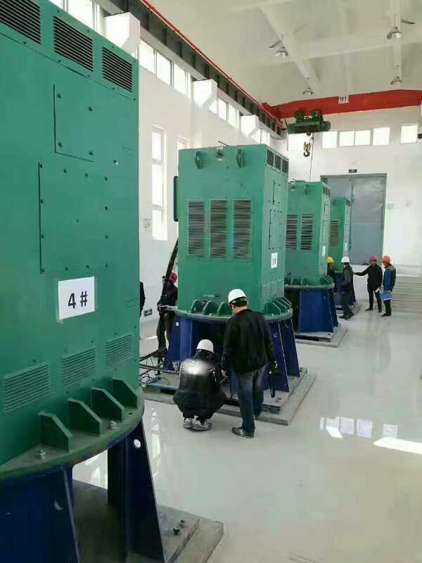 汉台某污水处理厂使用我厂的立式高压电机安装现场
