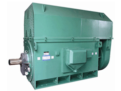 汉台Y系列6KV高压电机